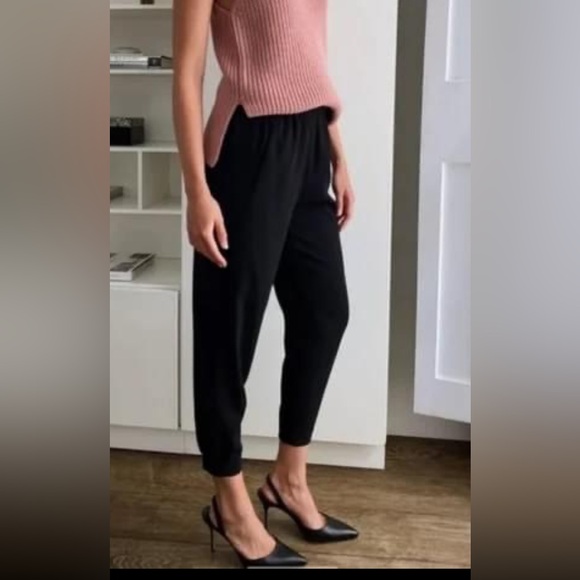 Babaton Pants - Babaton new Dexter pant - large